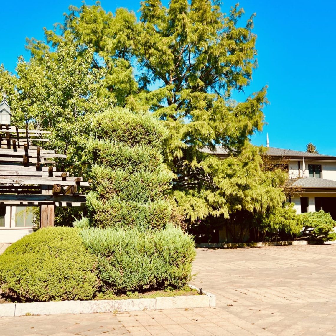 wedding officiant, elopements, courthouse wedding, wedding venue, micro wedding, event venue