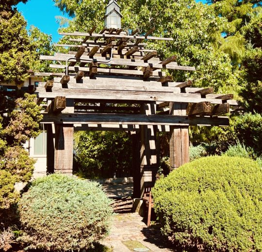 wedding officiant, elopements, courthouse wedding, wedding venue, micro wedding, event venue