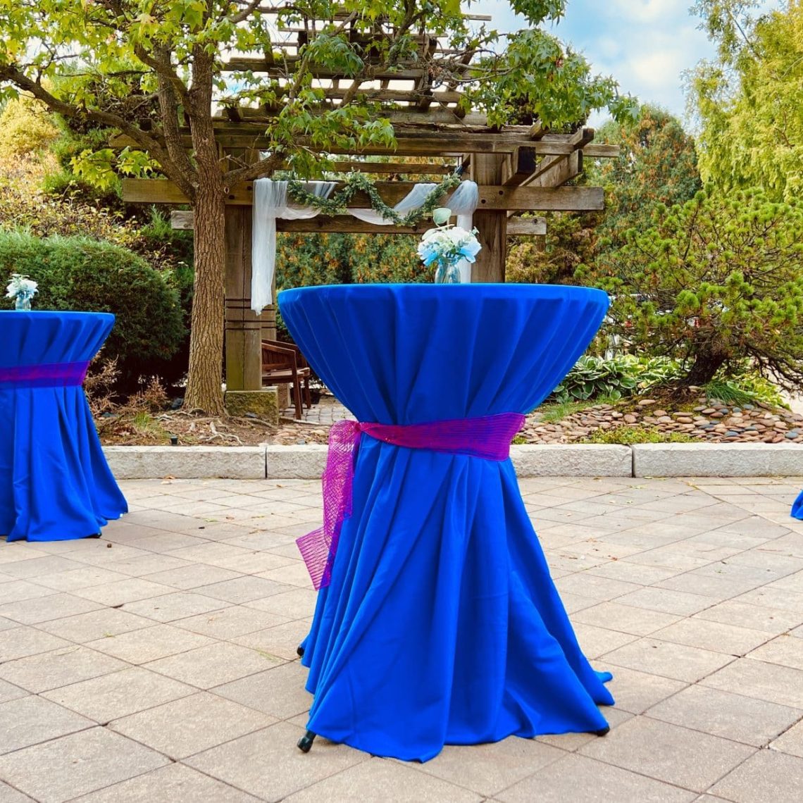 wedding officiant, elopements, courthouse wedding, wedding venue, micro wedding, event venue