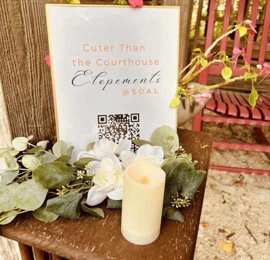 wedding officiant, elopements, courthouse wedding, wedding venue, micro wedding, event venue