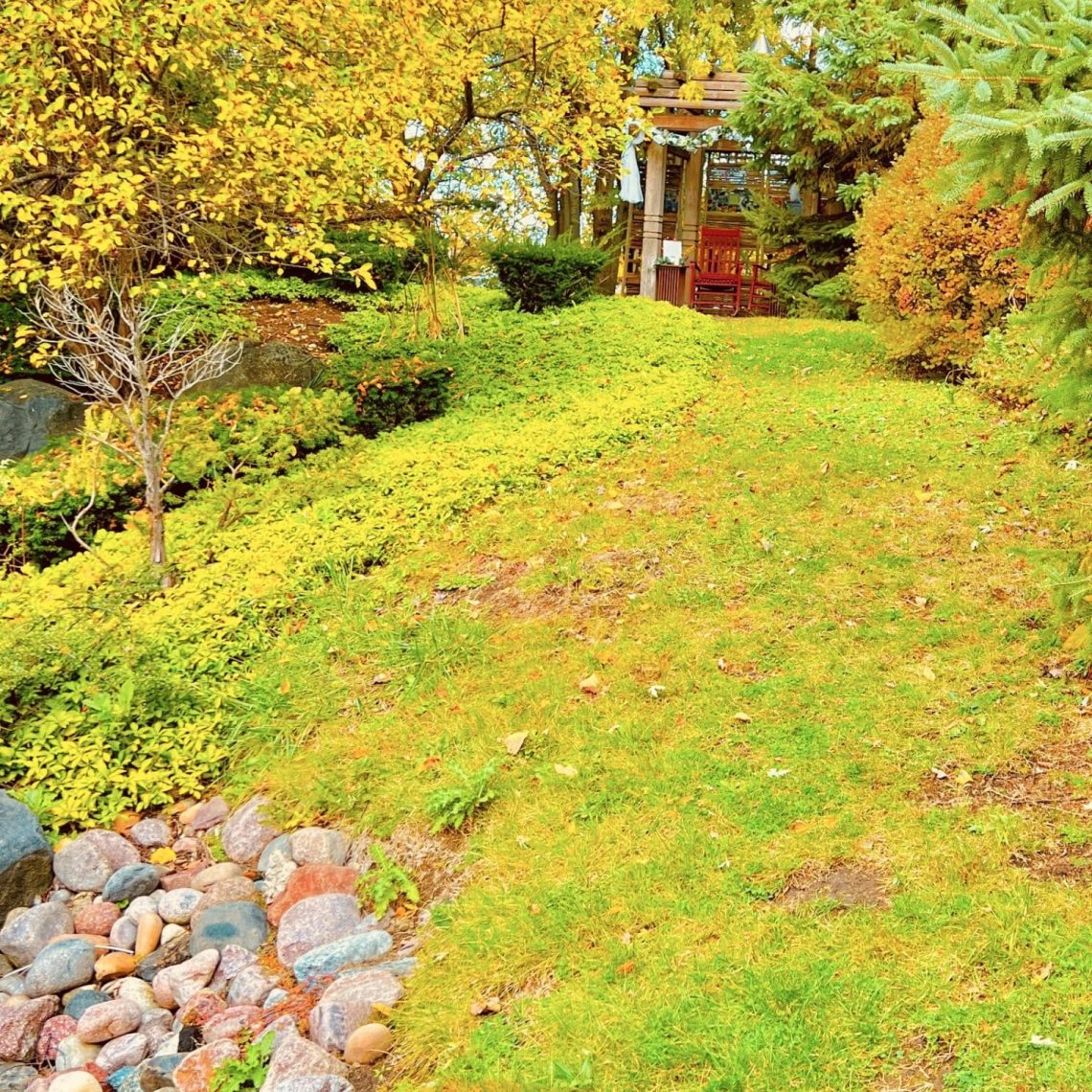 wedding officiant, elopements, courthouse wedding, wedding venue, micro wedding, event venue