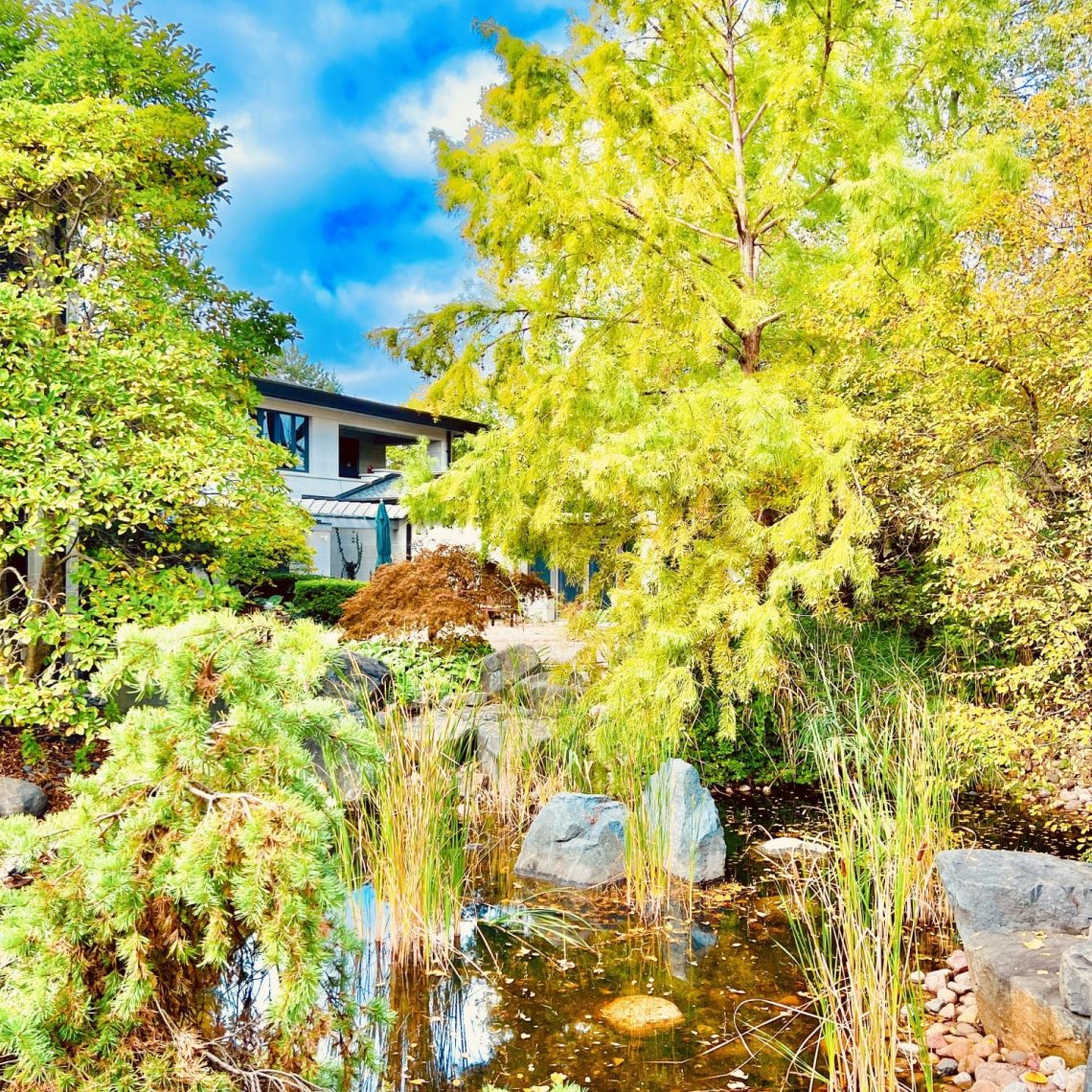 wedding officiant, elopements, courthouse wedding, wedding venue, micro wedding, event venue