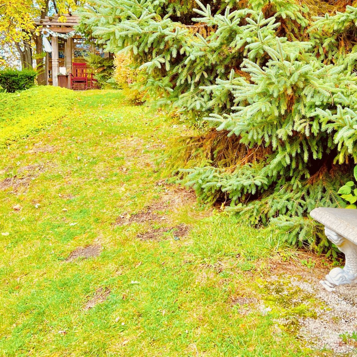 wedding officiant, elopements, courthouse wedding, wedding venue, micro wedding, event venue