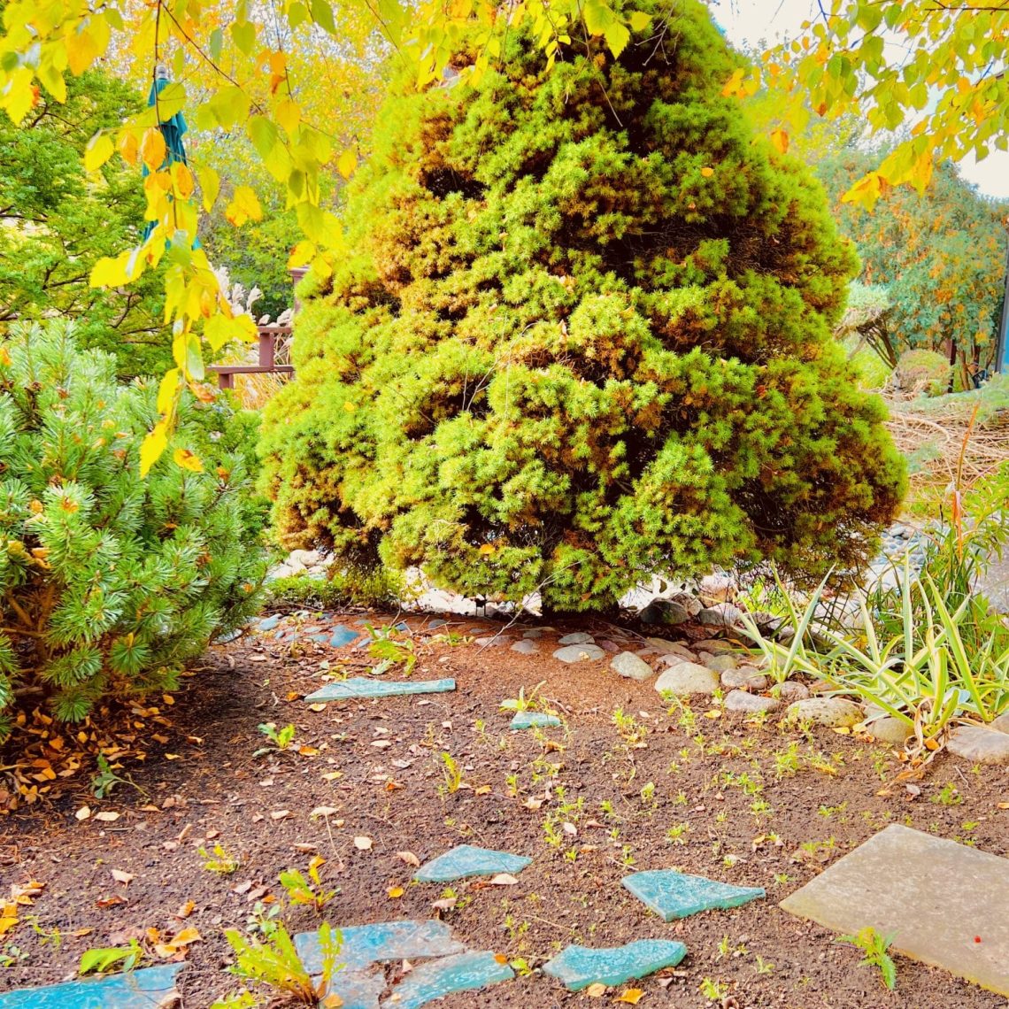 wedding officiant, elopements, courthouse wedding, wedding venue, micro wedding, event venue