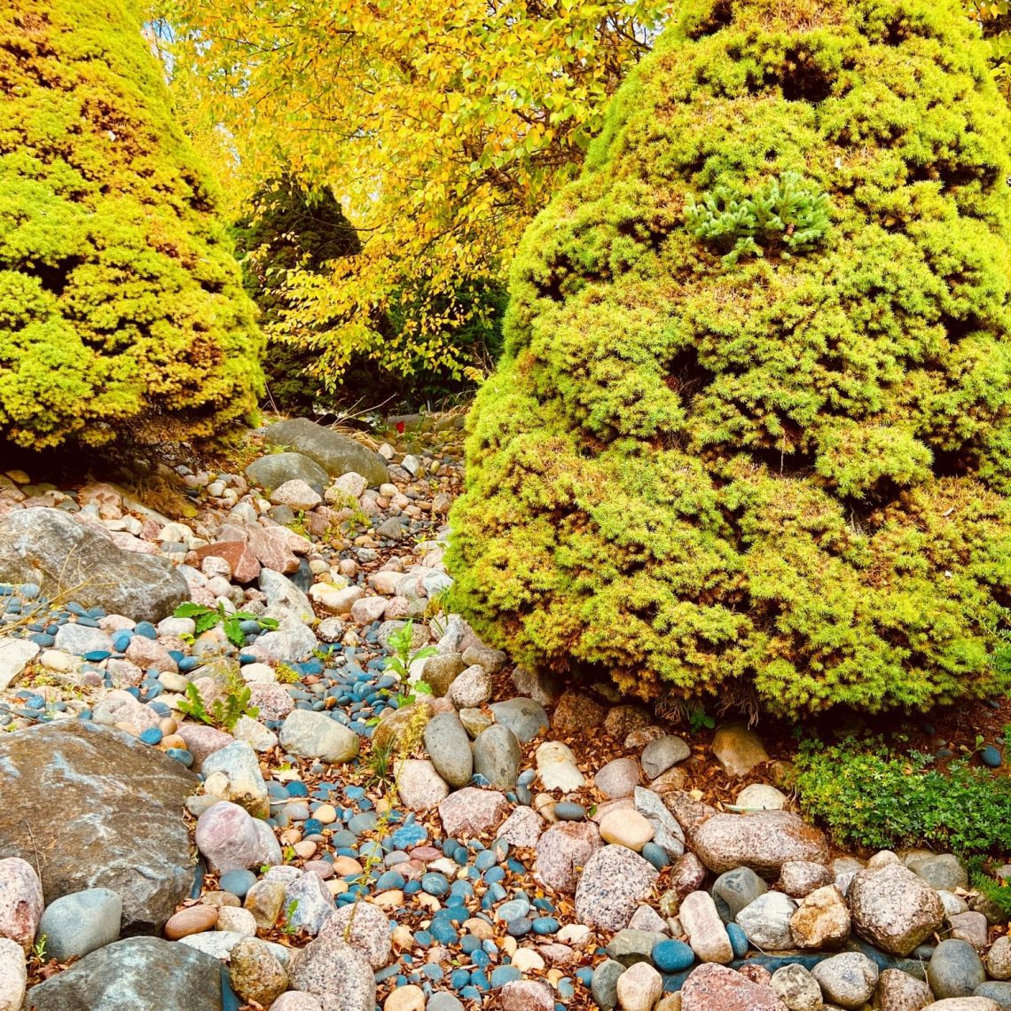 wedding officiant, elopements, courthouse wedding, wedding venue, micro wedding, event venue