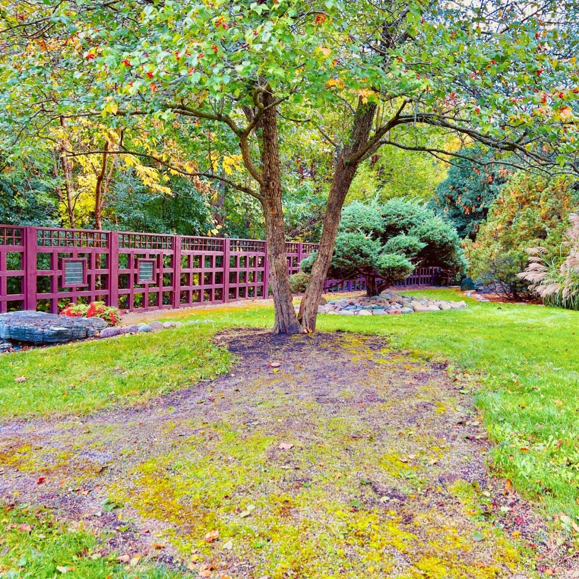 wedding officiant, elopements, courthouse wedding, wedding venue, micro wedding, event venue