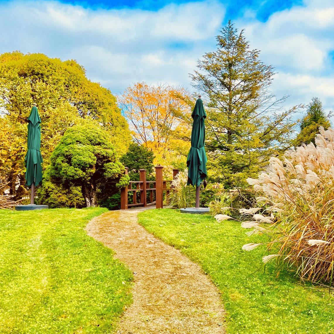 wedding officiant, elopements, courthouse wedding, wedding venue, micro wedding, event venue