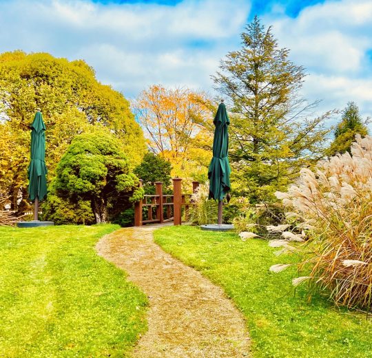 wedding officiant, elopements, courthouse wedding, wedding venue, micro wedding, event venue