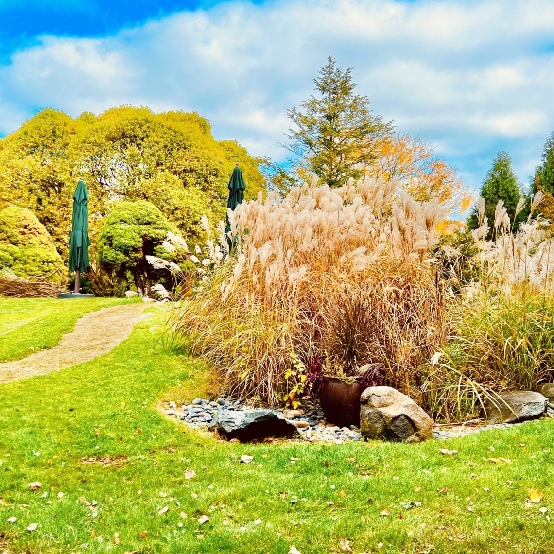 wedding officiant, elopements, courthouse wedding, wedding venue, micro wedding, event venue