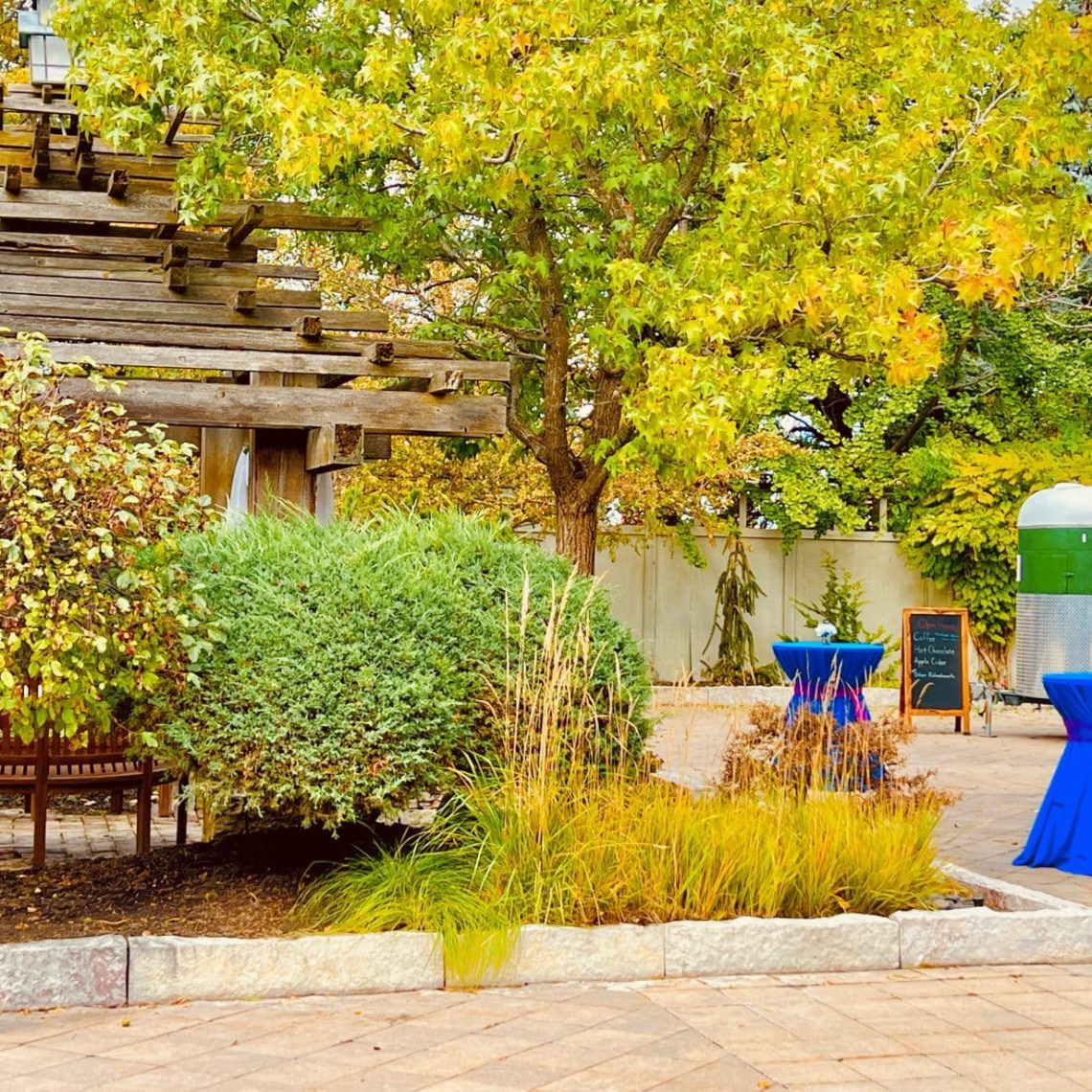 wedding officiant, elopements, courthouse wedding, wedding venue, micro wedding, event venue