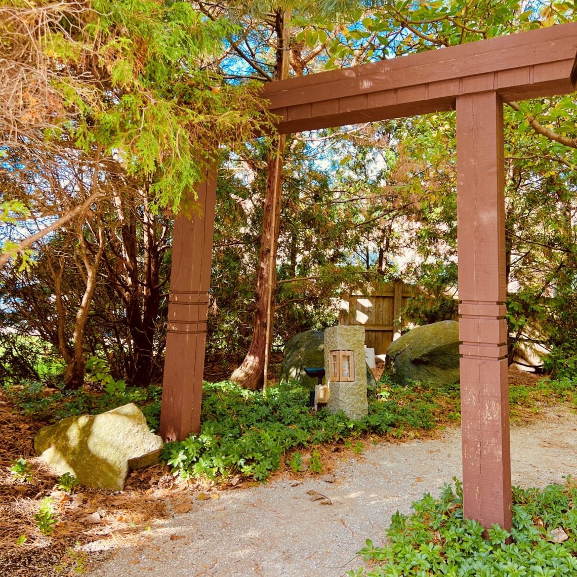 wedding officiant, elopements, courthouse wedding, wedding venue, micro wedding, event venue